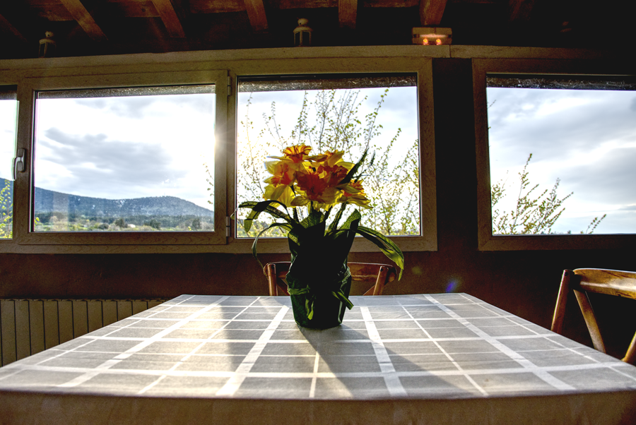 Flores sobre una mesa